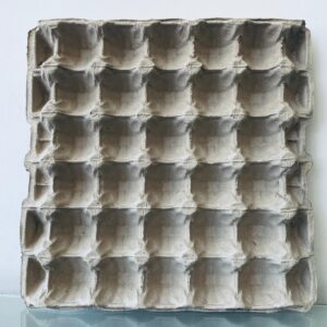 Favo de ovo de 30 ovos